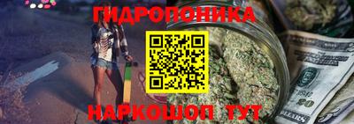 прущий лед Будённовск