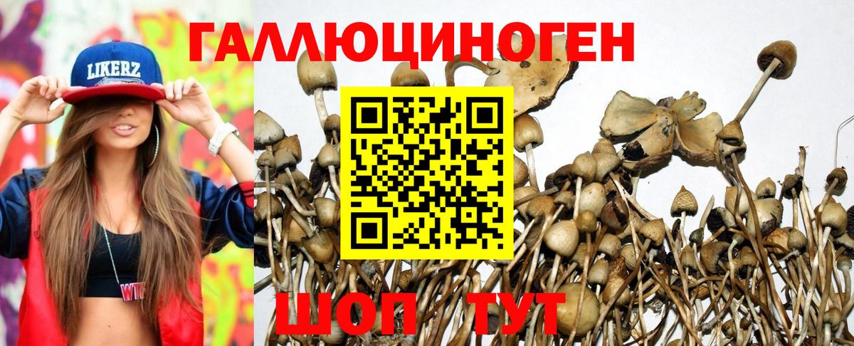 Галлюциногенные грибы ЛСД  Вход с VPN  Ростов Великий 
